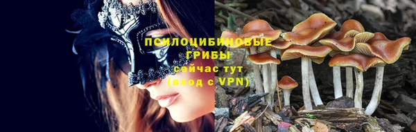 МДПВ Абдулино